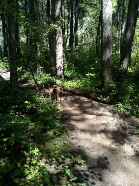 Balmoral Bluffs Trail System